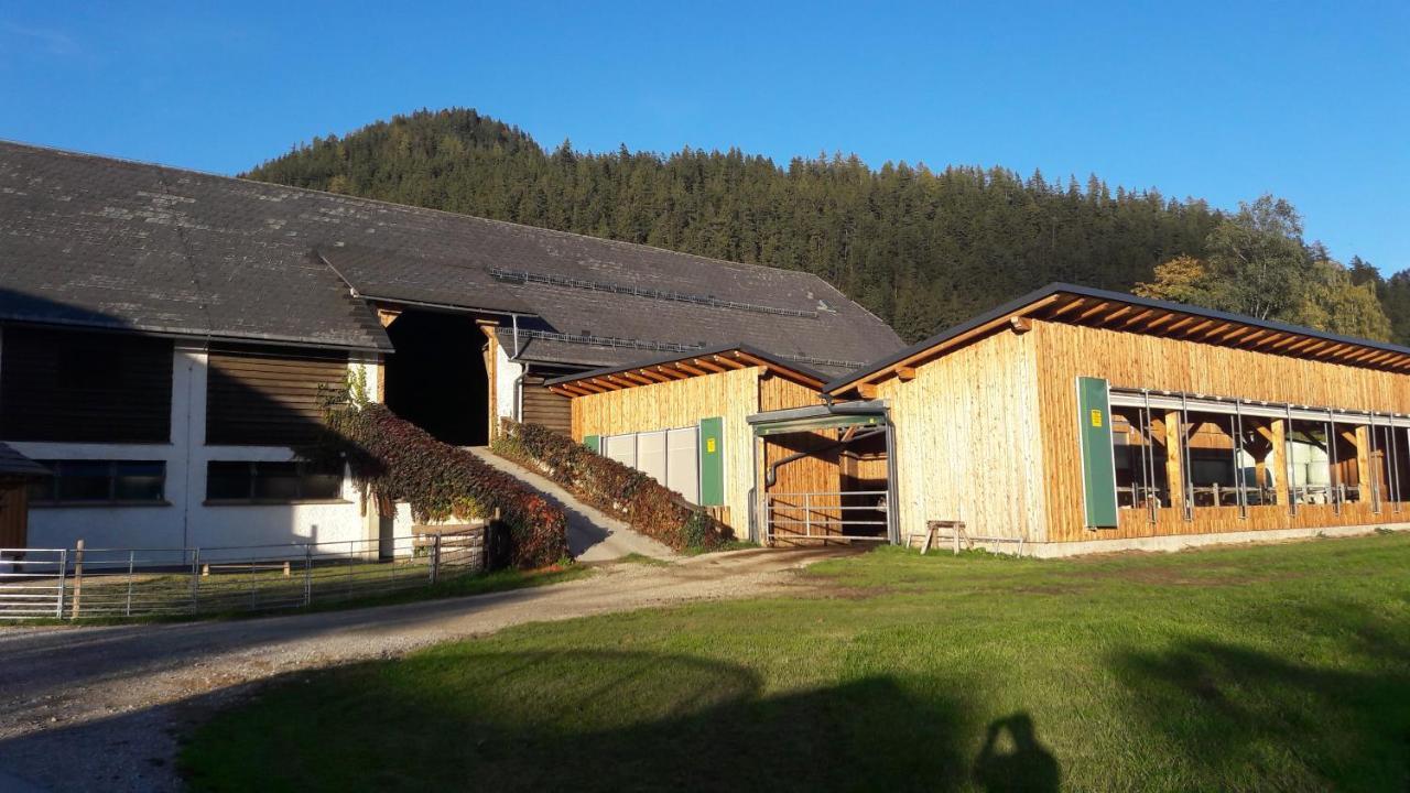 Schusterbauernhof Apartment Bad Mitterndorf Exterior photo